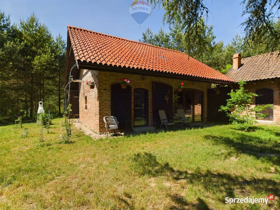 Siedlisko w otulinie lasu piwnica