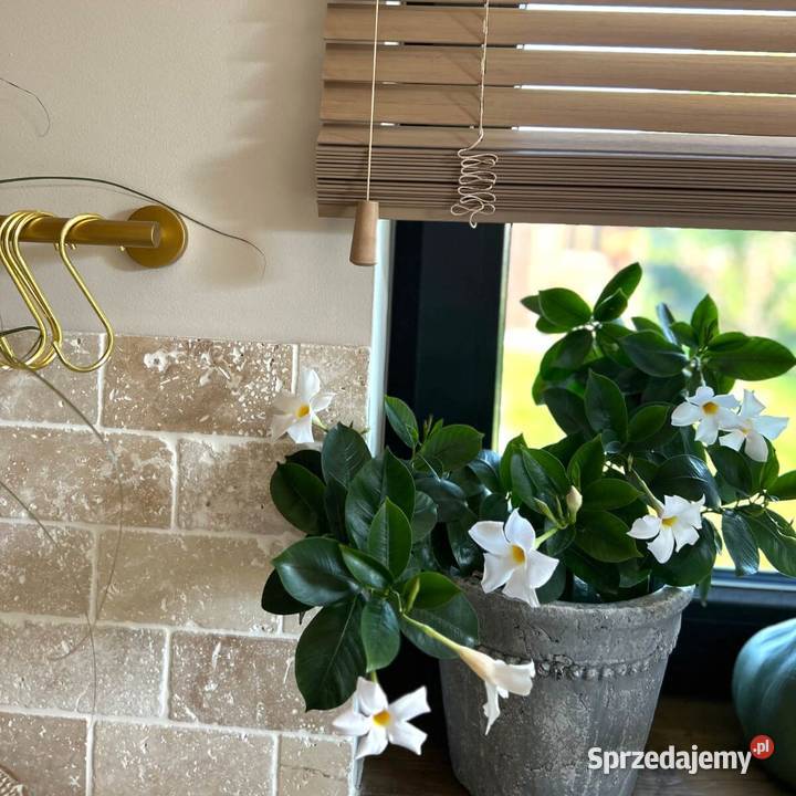 Płytki Trawertyn Classic bębnowany 15x75x1 Płytki elewacyjne pomorskie Gdynia