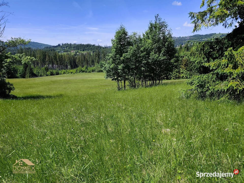 Działka Laliki 1519m2