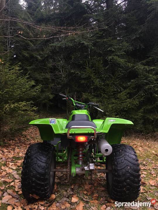 Kawasaki KFX 300 zielony Niedźwiedź