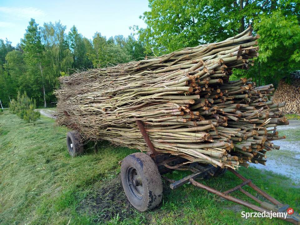 Faszyna Pozostałe