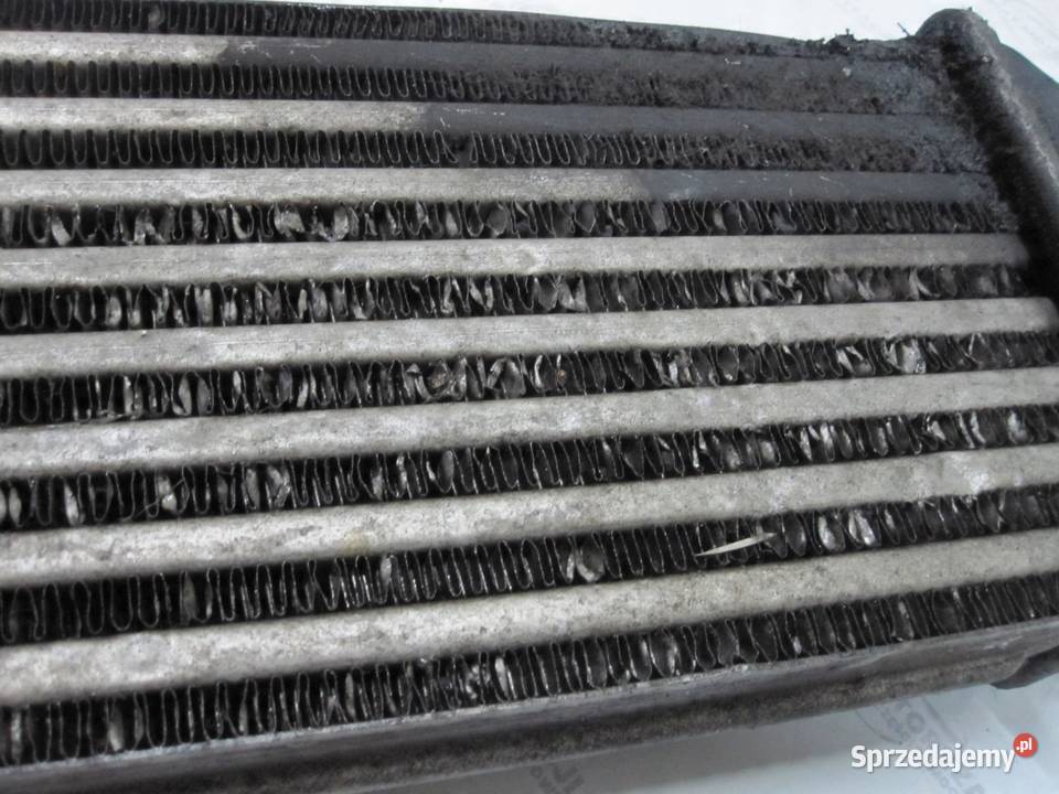 COMBO D DOBLO II 13r intercooler 866455500 świętokrzyskie