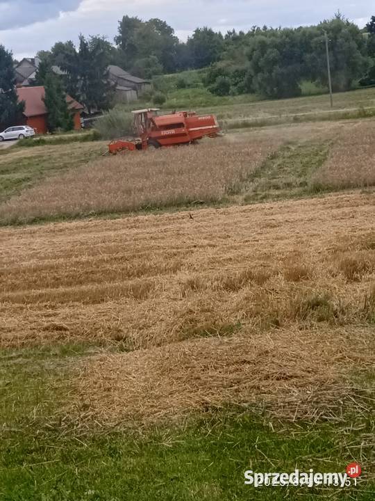 Kombajn zbożowy Fahr M900 Zbożowe Kombajny Latyczyn