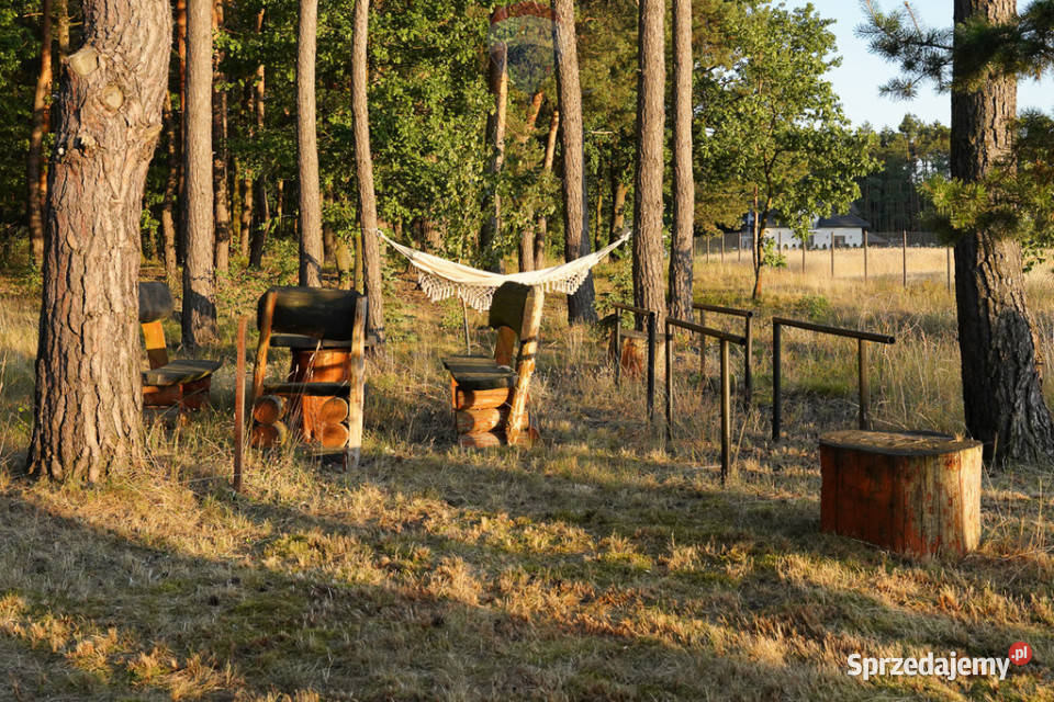 Działka leśna z domkiem na sprzedaż garaż Rozniszew
