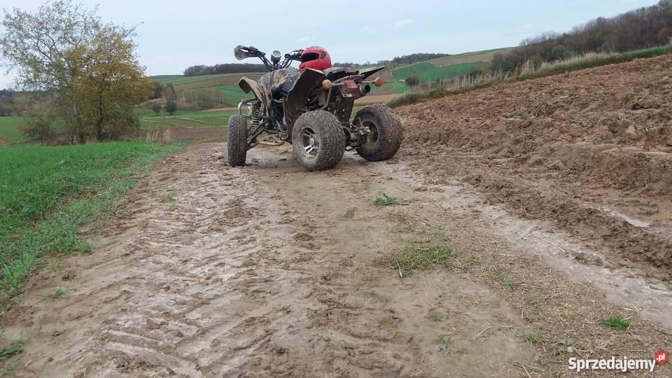 Eagle Lyda 250 Yamaha Suzuki honda Zamość