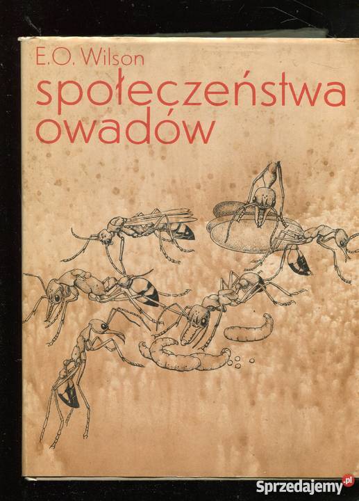 Społeczeństwo owadów EOWilson sprzedam