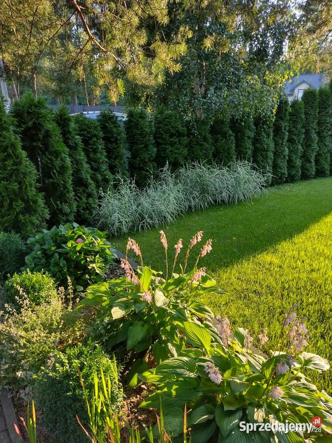 Prace remontowemalowanie Ogrod Komornica