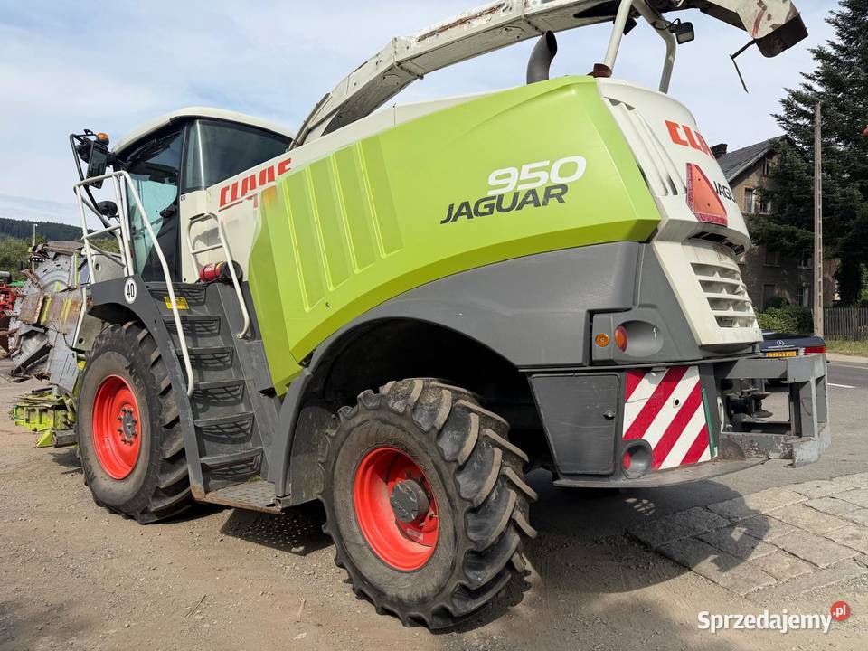 Sieczkarnia do kukurydzy Claas Jaguar 950 w Nowa Ruda