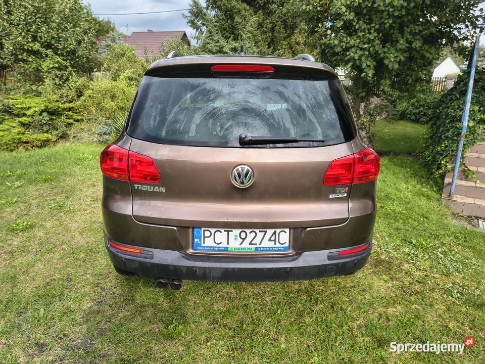 Volkswagen Tiguan 20 Niski przebieg wielkopolskie Piłka