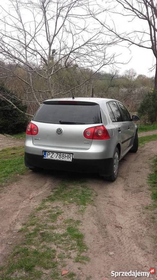 Wolksvagen Golf V 19 TDI lakier metallic Golf Poznań