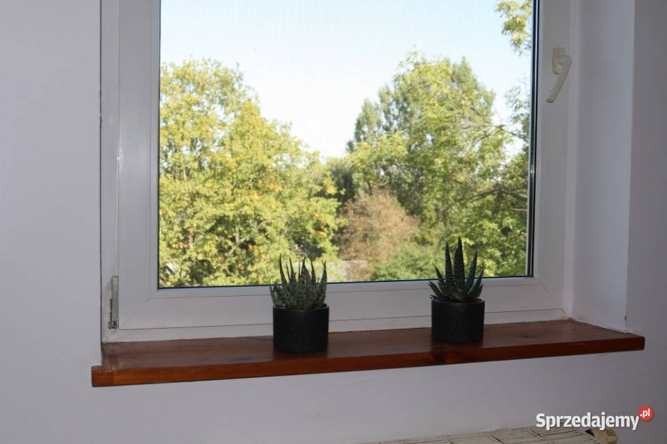 studio w spokojnej okolicy 342m2 37m2 Piętro 3