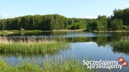 gospodarstwo rolno rybackie Recz