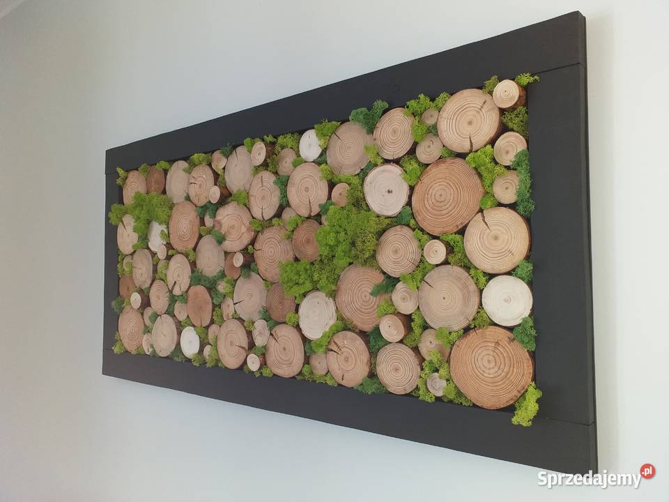 Obraz 120x60 mech chrobotek plaster drewna panel Długołęka