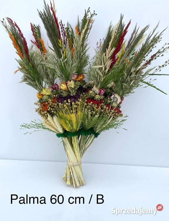 PRODUCENT PALM WIELKANOCNYCH HURT NAJNIŻSZA Lublin