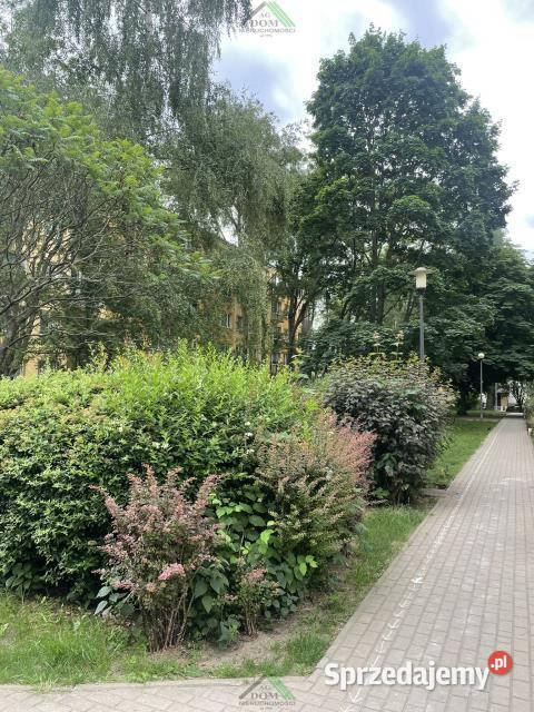 Mieszkanie sprzedam Pruszków 483m2 3 pokoje