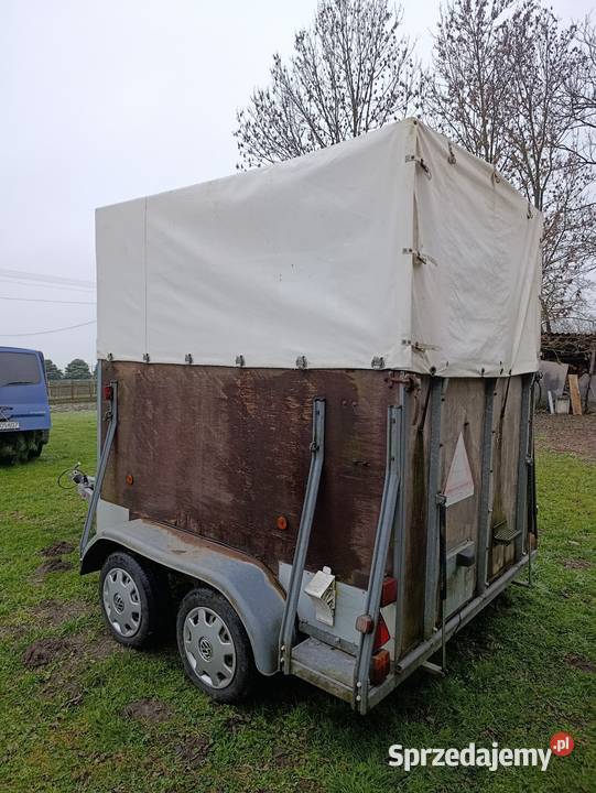 Przyczepa do przewozu koni zwierząt 1350kg Suchy Grunt