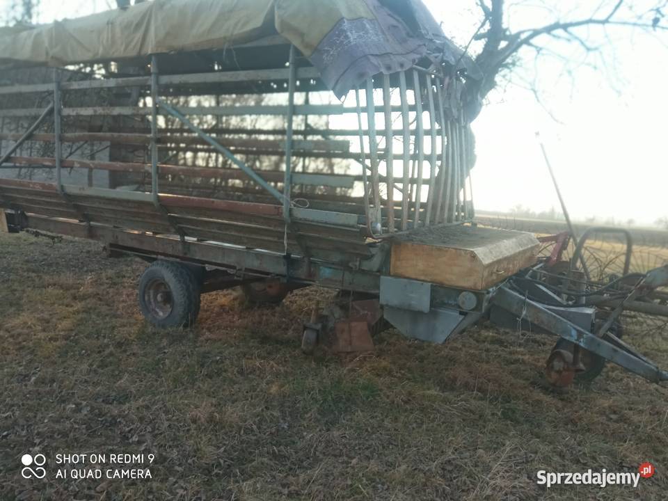 Przyczepa samozbierająca czeska duża Zalesie