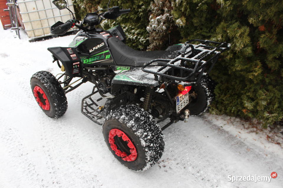 Quad 250 Cobra II 2021 przebieg 420