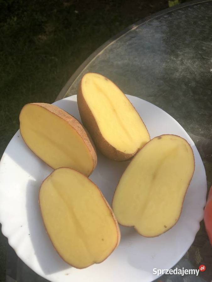 Ziemniaki belarosa Przeworsk