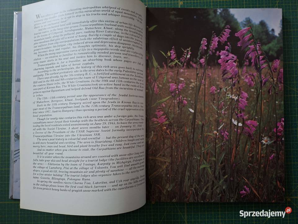 Enchanted Land Ukraina j ukr j ang j ros Książki i Podręczniki