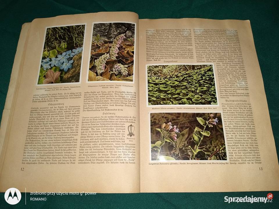 Książka album Flora europejska