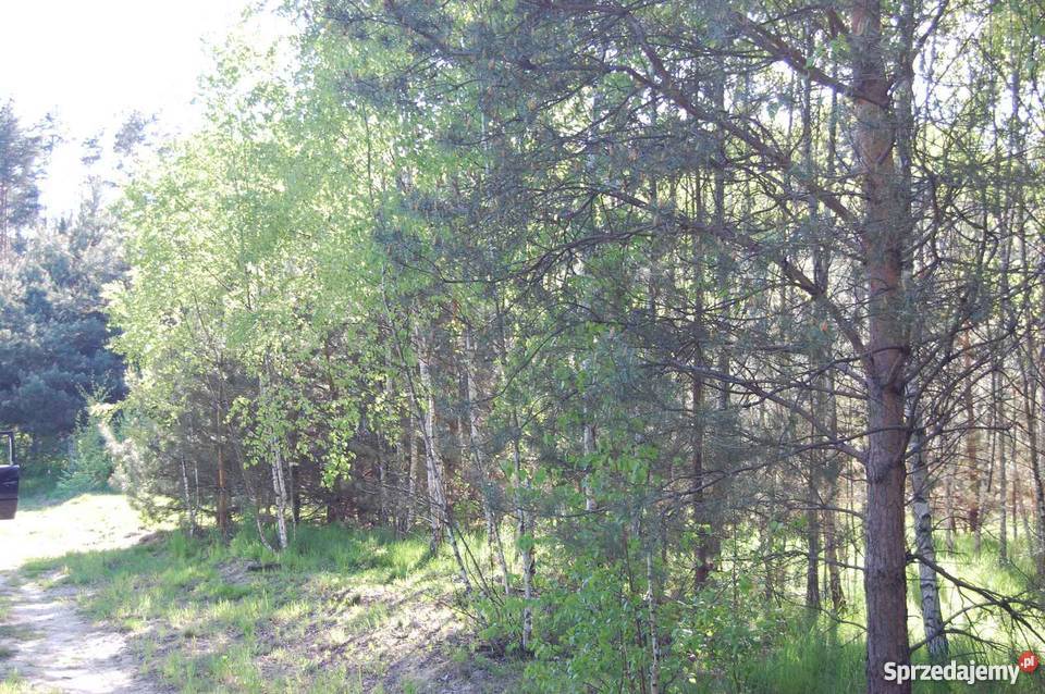 Sprzedam działki 2130m2 Nieporęt