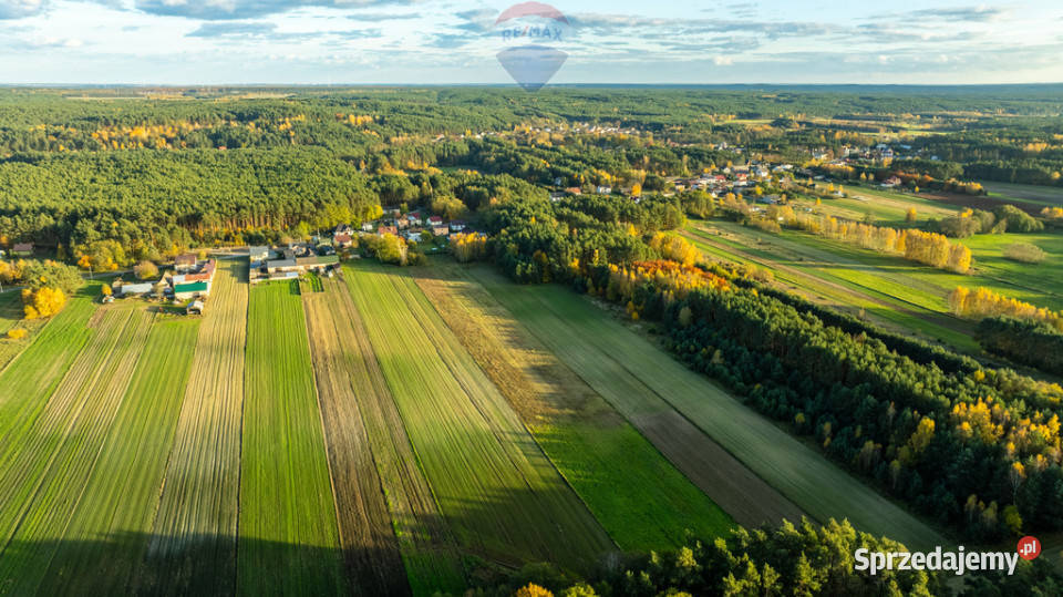 Dom z potencjałem w Toporowie z dużą działką łódzkie Toporów