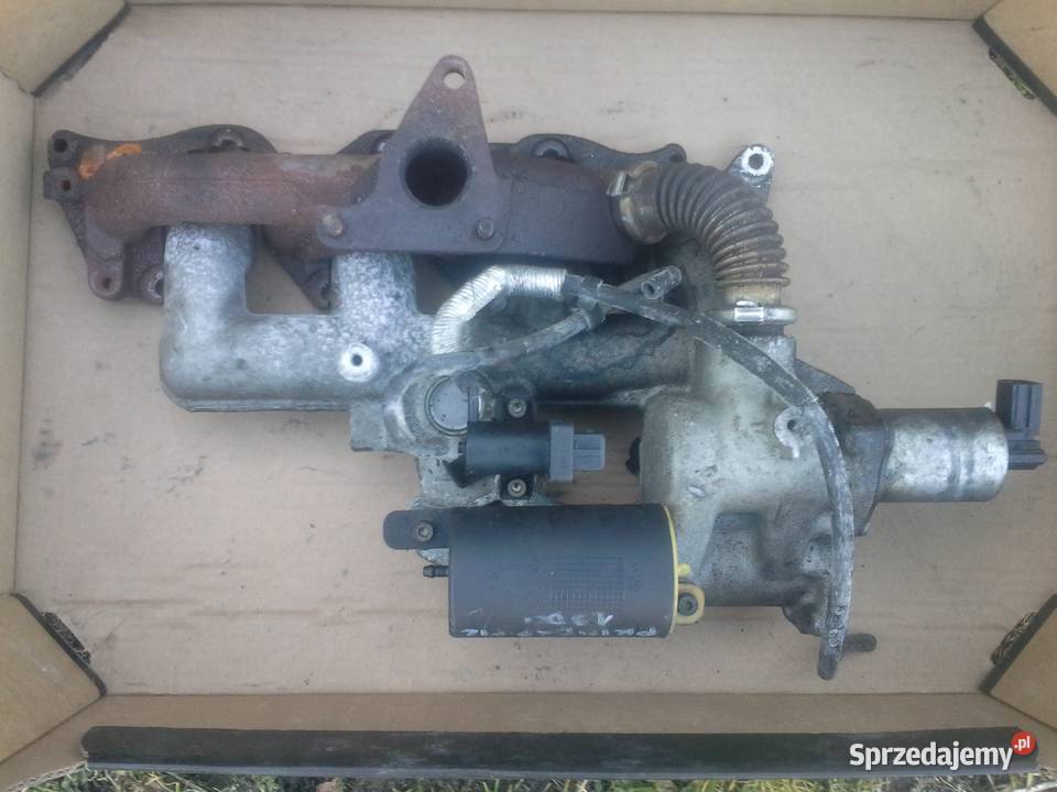 NISSAN PRIMERA p12 kolektor komplet 19dci zachodniopomorskie Dębno sprzedam