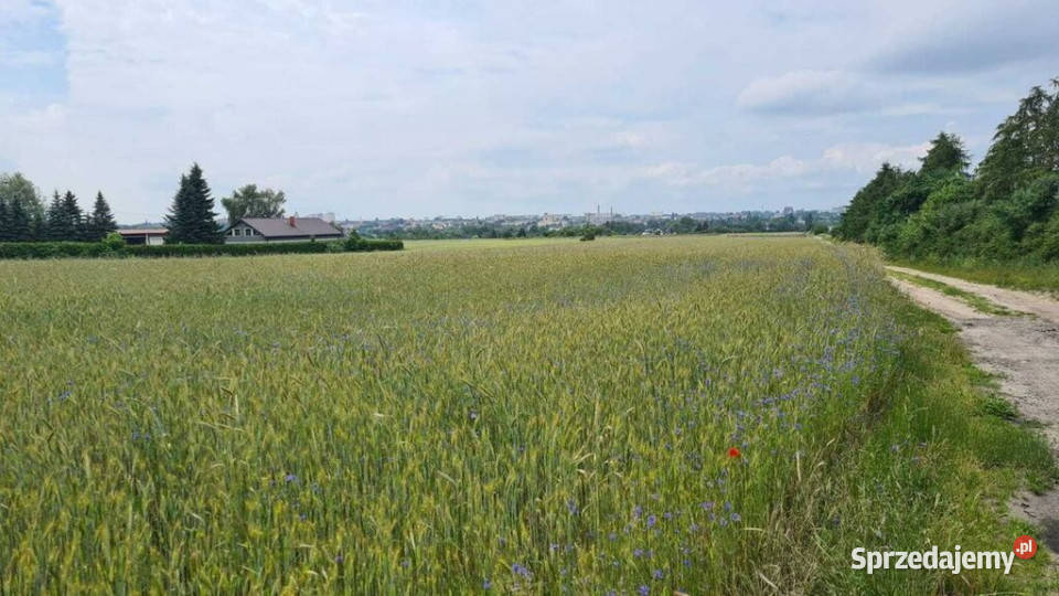 Działka budowlana z pięknym widokiem utwardzona