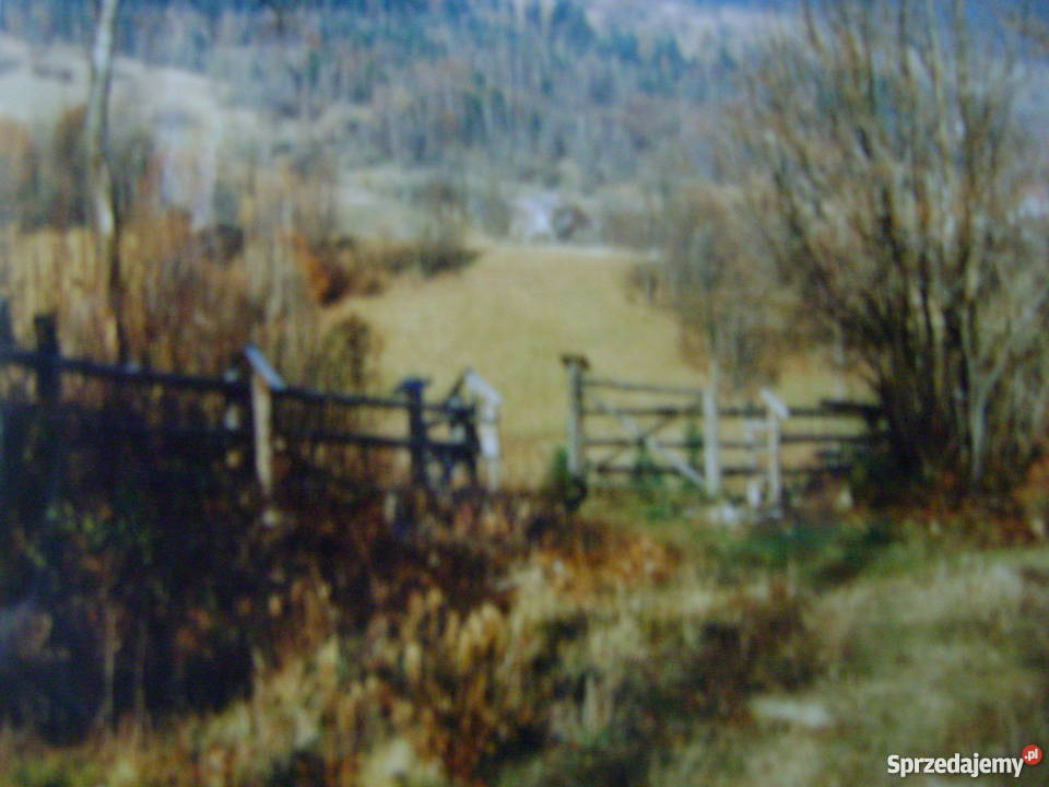 Zawoja Wełcza działka budowlana 1567m2 małopolskie