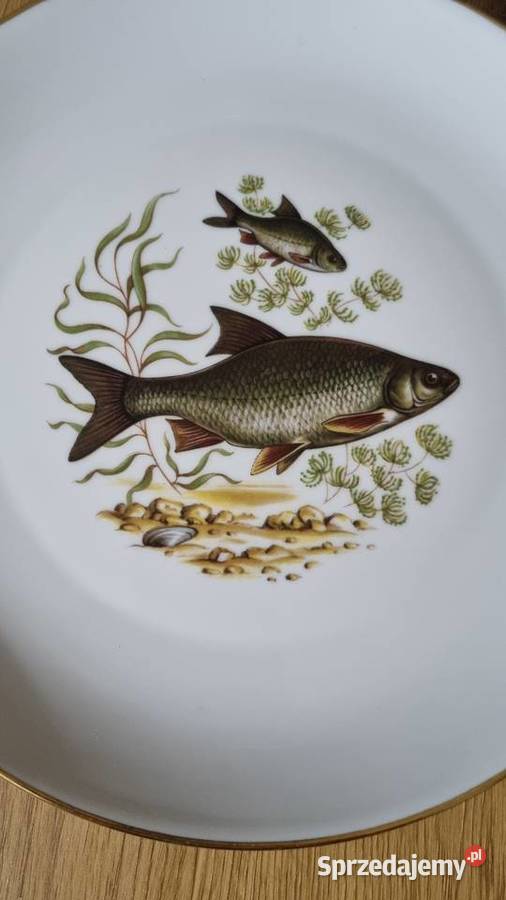 Talerze do ryb Porcelana Francuska Limoges wielkopolskie sprzedam