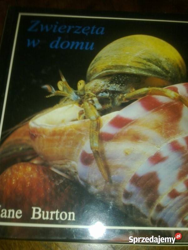 JANE BURTON Komplet 4 Książek Ideał Warszawa