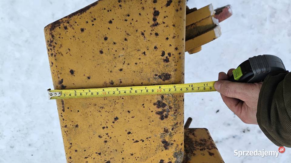 Głębosz zachodni 3 łapy MASYW Brodnica