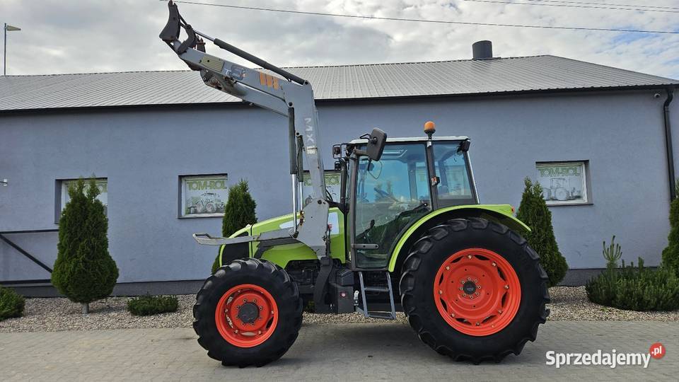 Claas Celtis 446 RX TUR Claas Gruntowice
