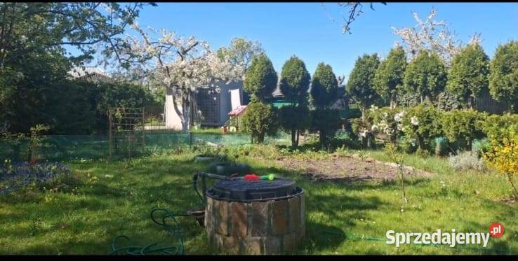 Działka ROD ZNTK Oleśnica asfalt