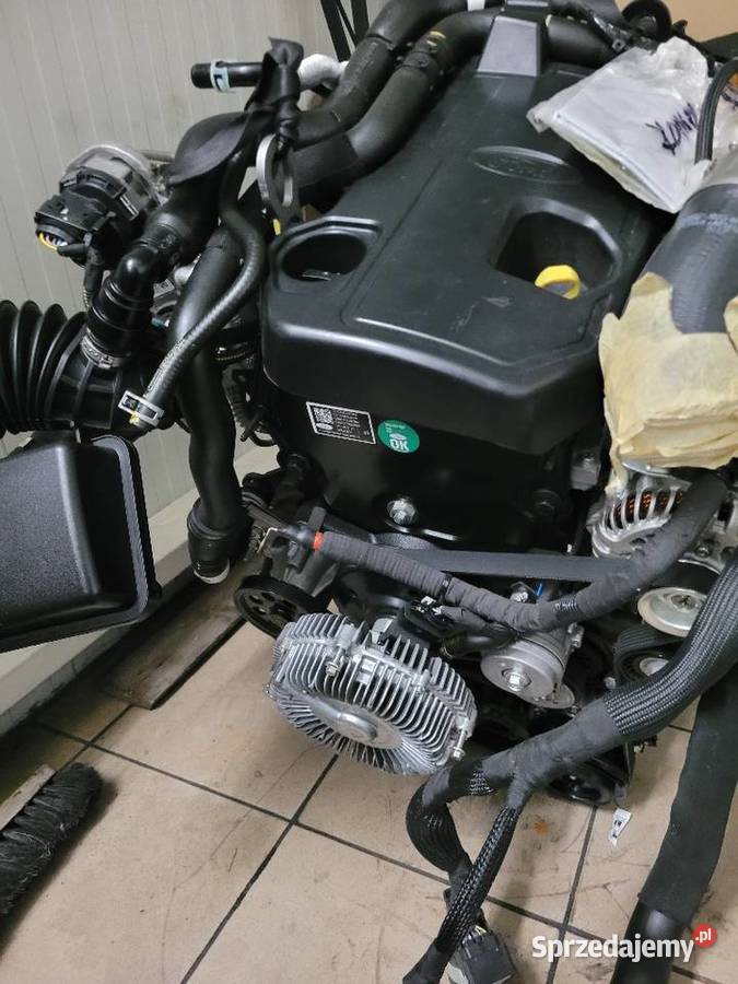 Gdzie Naprawić Forda Rangera Raptora Serwis mazowieckie Radom sprzedam