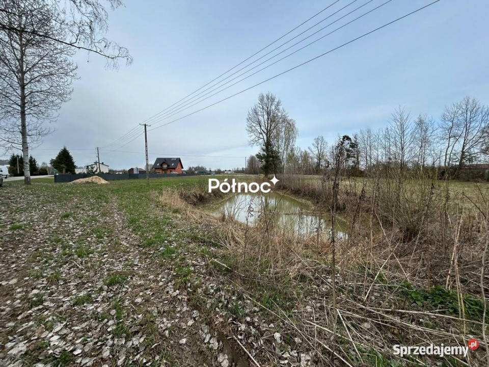 Działka ze stawem 2412 m Aleksandrów