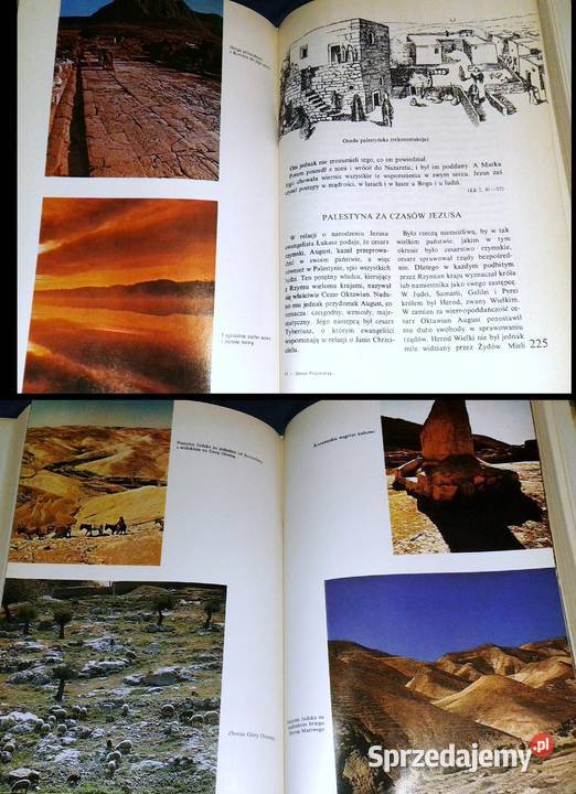 Dzieje przymierza Paweł Pachciarek