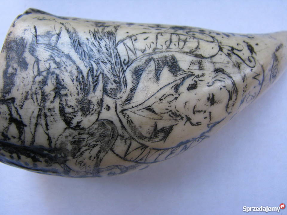 KŁY MORSA TROFEUM RZEŹBIONE 4 sprzedam