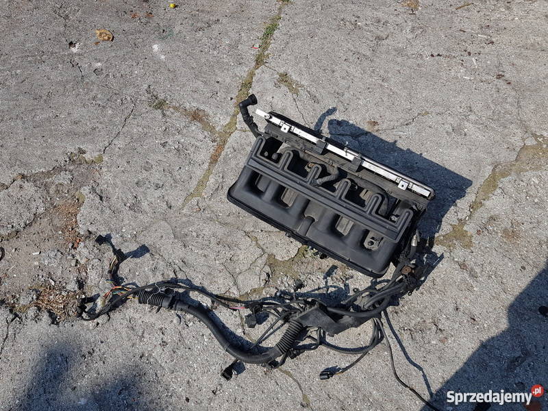 Kolektor Dolotowy Ssacy Kompletny BMW e46e39 itd Włocławek