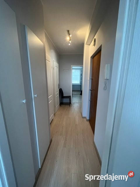 Ogłoszenie mieszkanie Wrocław 54m2