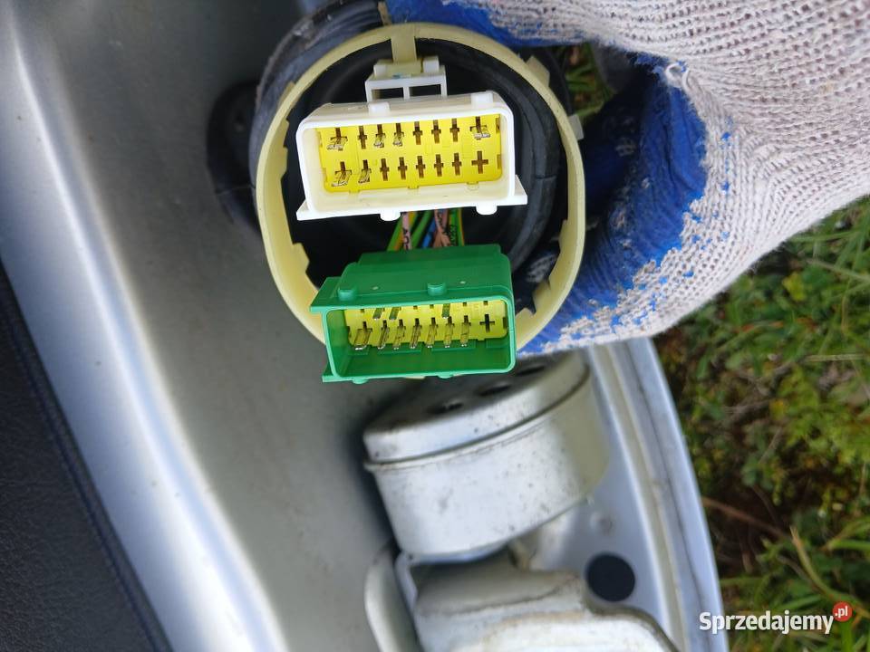 Drzwi Prawy przód kompletne Peugeot 207 EU5Dlak małopolskie