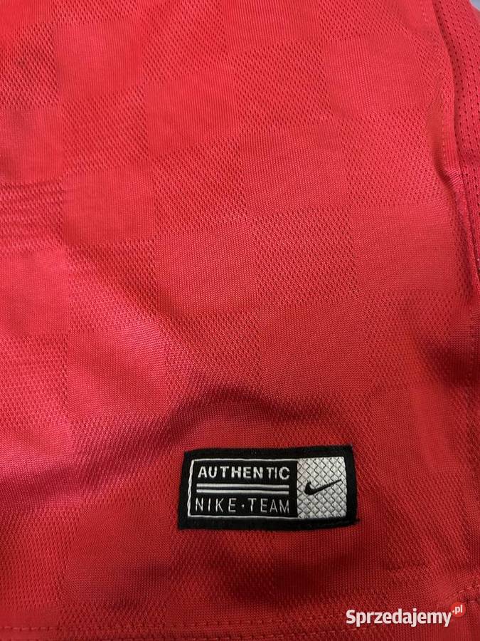 HERTHA BERLIN 19 IBISEVIC 2015 2016 XL Nike dolnośląskie Wrocław