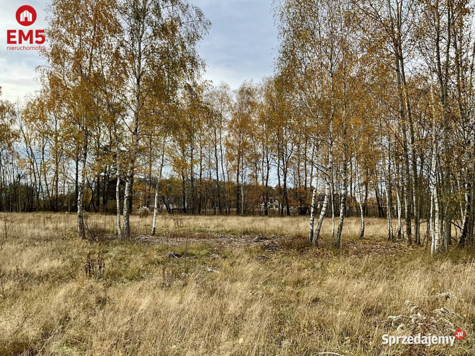 Grunt 1070m2 Sobolewo sprzedam