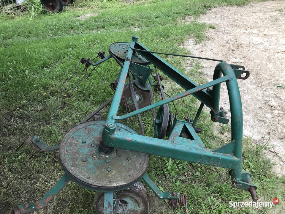 Przewracarka pająk Nockowa