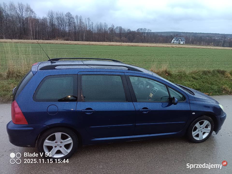 Peugeot 307 20 BG 2002r 1999cm3 Jeziorko
