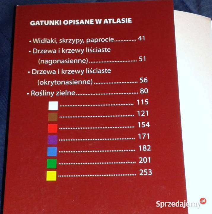 Atlas roślin Pascal Renata KrzyściakKosińska M Chełm