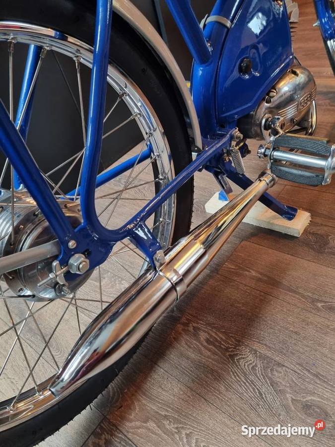 Komar sztywniak 2320 małopolskie Nowy Sącz