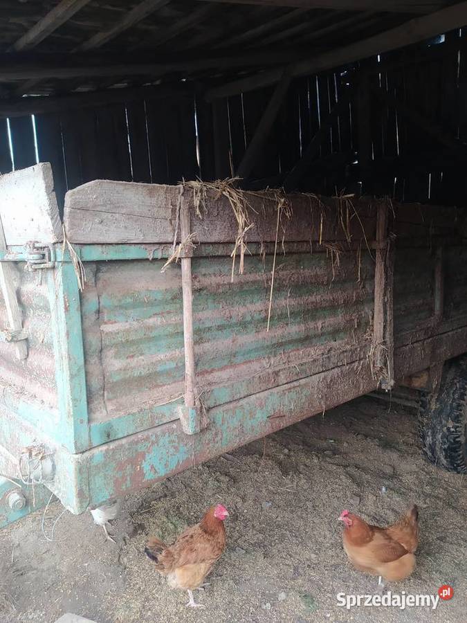 sprzedam rozrzutnik 35 t czarna białostocka Baćkowice