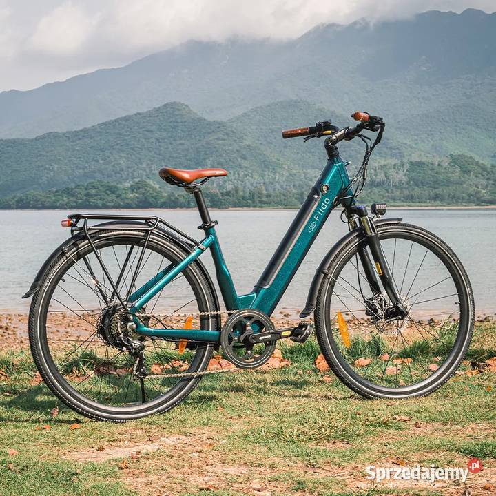 NOWOŚĆ Fiido C11 Pro miejski ebike 250W 48V Tarnobrzeg